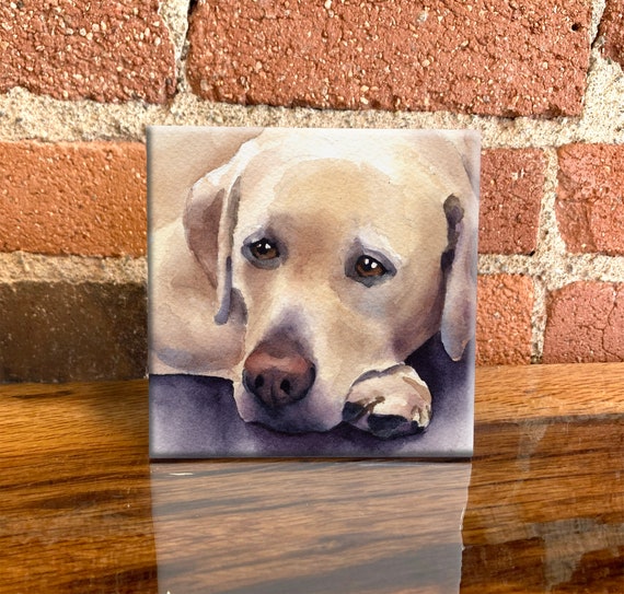 Labrador retriever gifts cheap