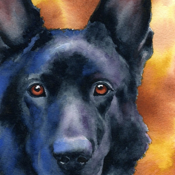 BLACK GERMAN SHEPHERD Art Print by Artist D J Rogers