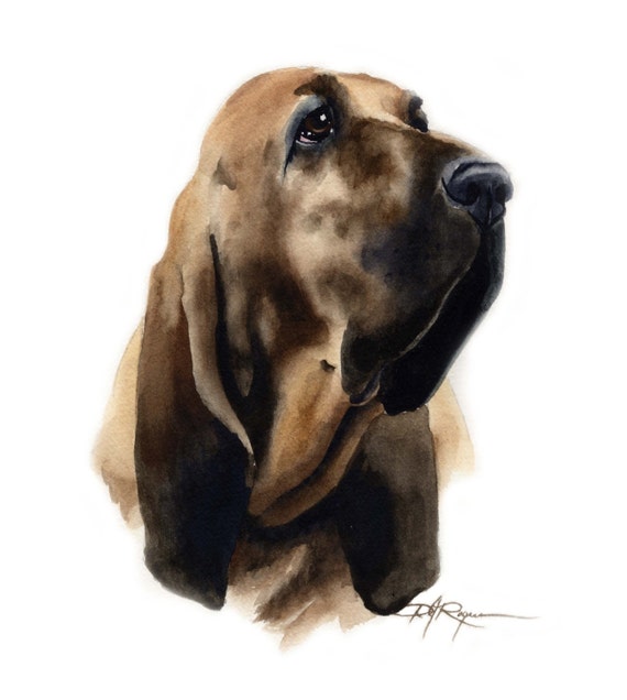 Bloodhound Art Print Sepia Watercolor Painting by Artist DJR