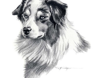 AUSTRALIAN SHEPHERD Dog Art Print by Artist DJ Rogers