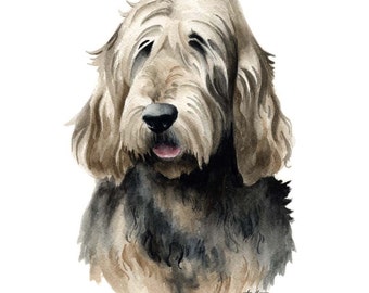Otterhound Art Print By Watercolor Artist DJ Rogers