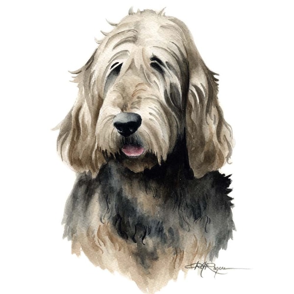 Otterhound Art Print By Watercolor Artist DJ Rogers