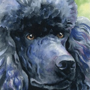 BLACK POODLE Art Print Watercolor by Artist DJ Rogers