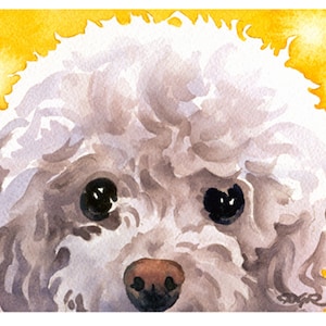 WHITE POODLE Art Print by Watercolor Artist DJ Rogers
