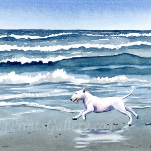 White Bull Terrier Art Print "Bull Terrier at the Beach" by Watercolor Artist DJ Rogers