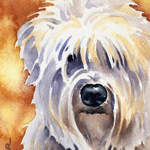 WHEATEN TERRIER Art Print by Watercolor Artist DJ Rogers