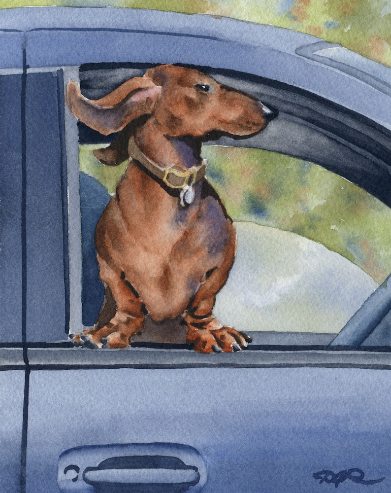 Dachshund Art Print Dachshund Car Ride by Artist DJ Rogers image 1