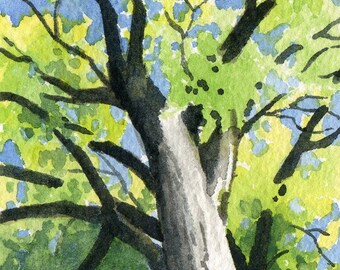 TREE STORY Watercolor Fine Art Print by Artist DJ Rogers