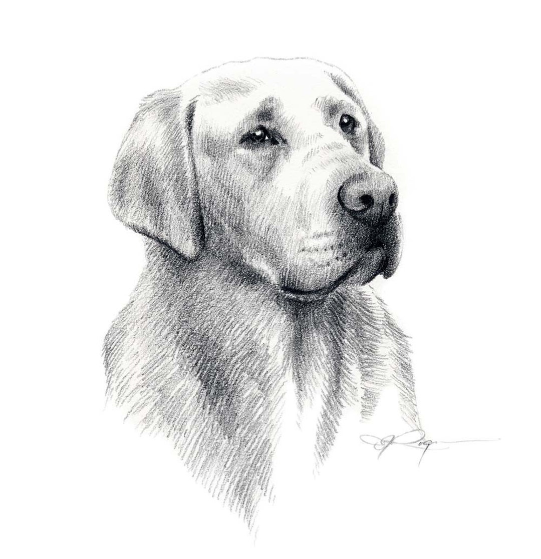 Buy LABRADOR RETRIEVER Dog Pencil Drawing Art Print by Artist DJ ...