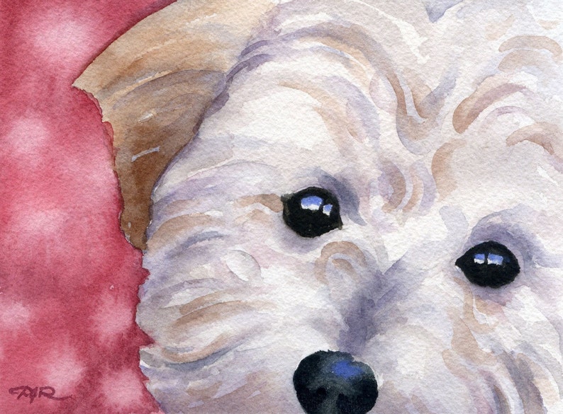 COCKAPOO Art Print Watercolor by Artist DJ Rogers image 1