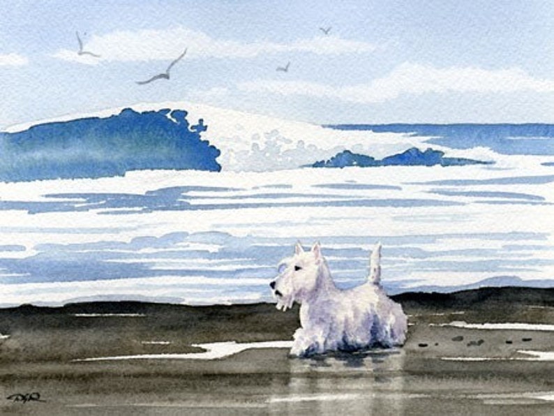 Scottish Terrier Art Print SCOTTISH TERRIER At The BEACH Watercolor by Artist D J Rogers image 1