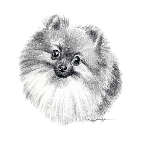 dog pencil sketch