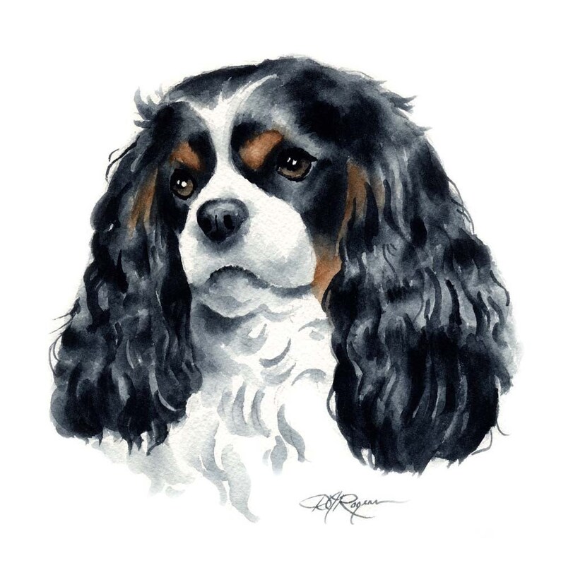CAVALIER KING CHARLES Spaniel Dog Art Print by Artist D J Etsy