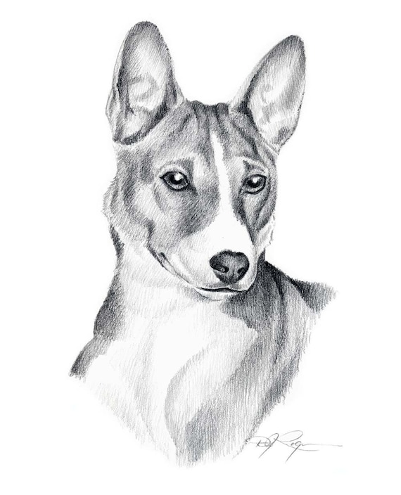 Basenji Umbrella - Blue Auto Open Basenji Umbrella - Blue Auto Open