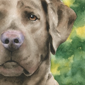 CHESAPEAKE BAY RETRIEVER Art Print Watercolor by Artist D J Rogers