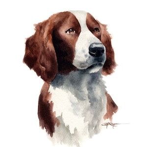 IRISH SETTER Dog Art Print by Artist DJ Rogers