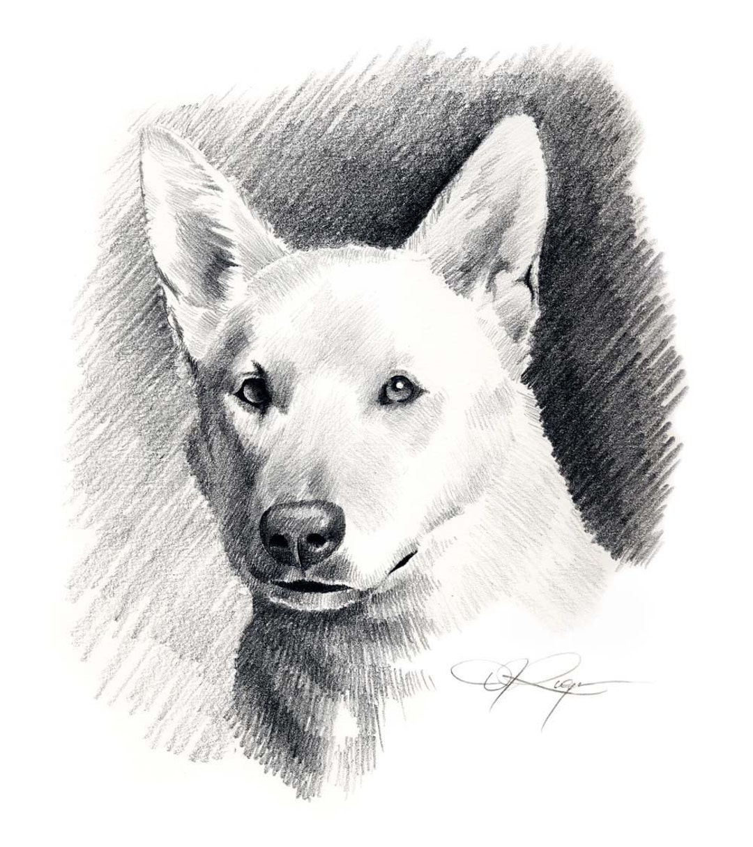 dog pencil sketch