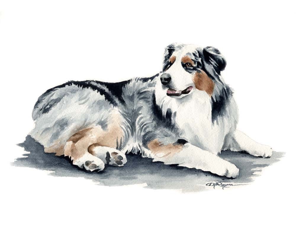Old English Sheepdog Watercolor Art Print by Artist DJ Rogers