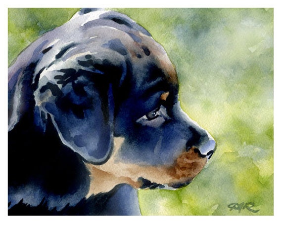 Rottweiler Puppy Art Print Sepia Watercolor 11 x 14 by Artist DJR