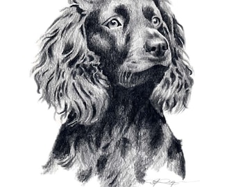 BOYKIN SPANIEL Art Print by Artist DJ Rogers