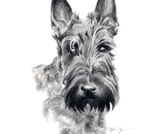 SCOTTISH TERRIER Dog Pencil Drawing Art Print by Artist DJ Rogers