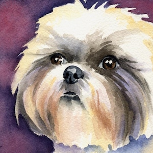 SHIH TZU Art Print by Watercolor Artist DJ Rogers