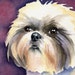 see more listings in the dogs section