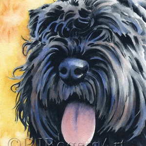 BOUVIER DES FLANDRES Art Print Aquarel door Aquarel kunstenaar D J Rogers
