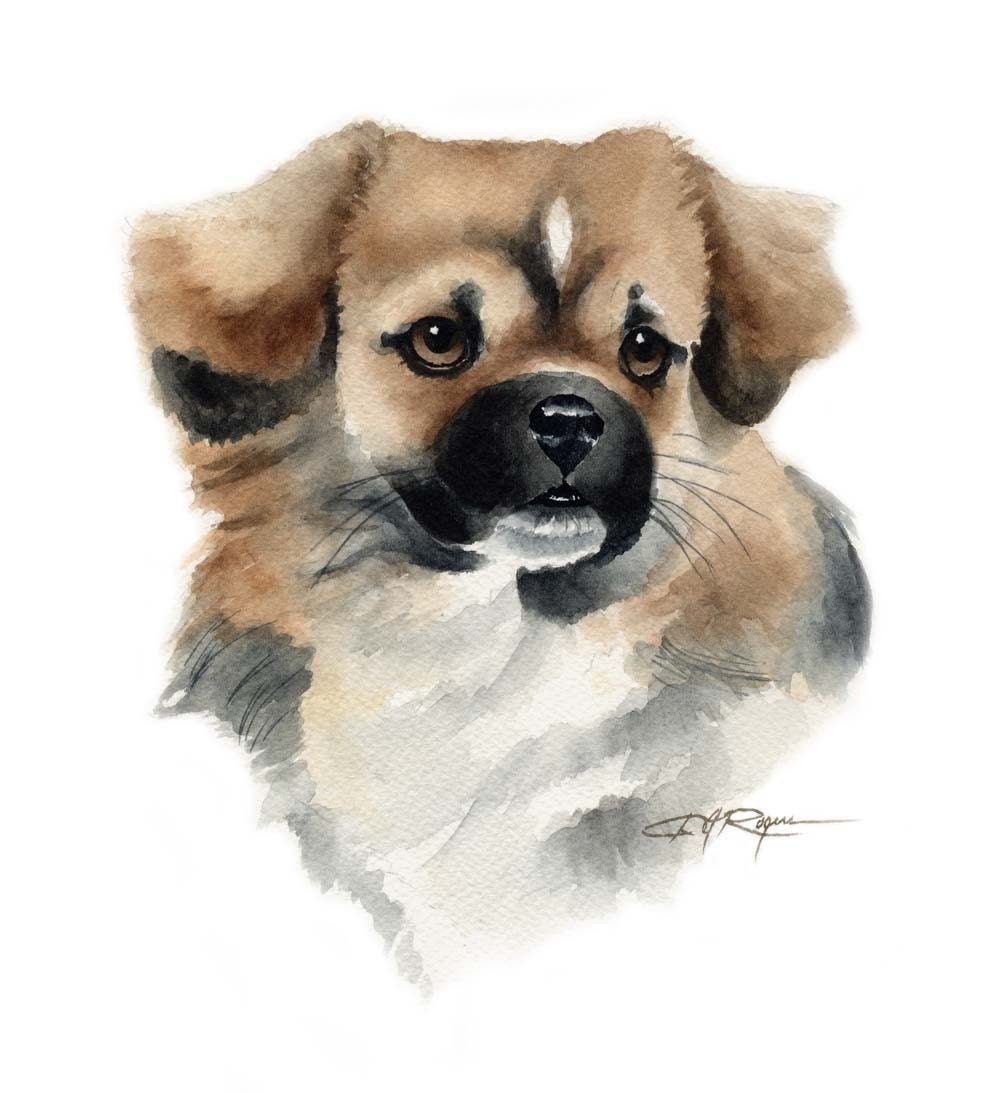 TIBETAN SPANIEL Dog Watercolor Painting Art Print by Artist DJ Rogers