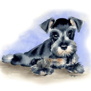 MINIATURE SCHNAUZER PUPPY Dog Watercolor Painting ArtPrint by Artist D J Rogers
