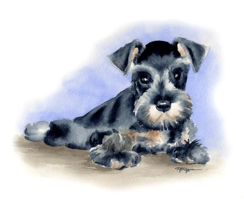 MINIATURE SCHNAUZER PUPPY Dog Watercolor Painting ArtPrint by Artist D J Rogers image 1