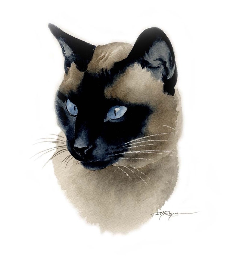 SIAMESE CAT Watercolor Painting Art Print by Artist DJ Rogers image 1