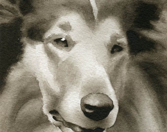 COLLIE Sepia Art Print by Watercolor Artist DJ Rogers