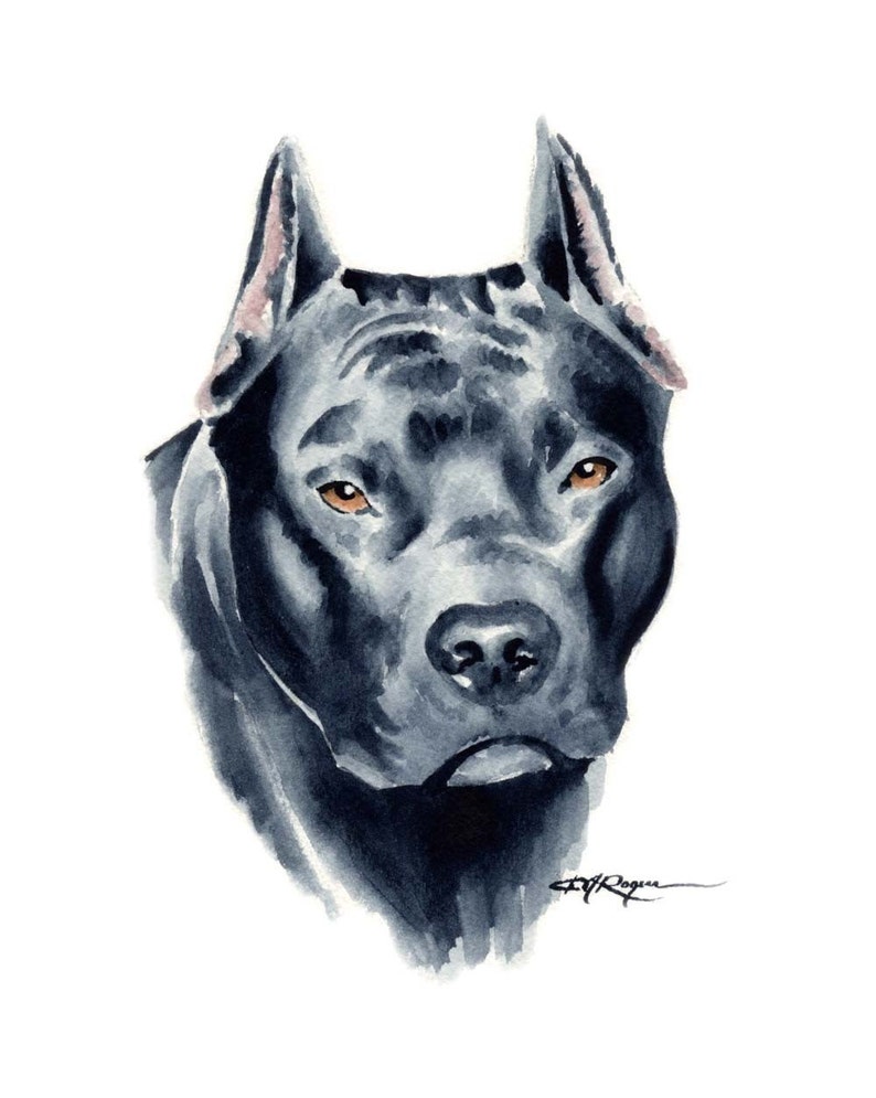 Pit Bull Terrier Puppy Art Print Sepia Painting 5 x 7 by Watercolor Artist DJR