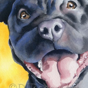 BLACK PIT BULL Terrier Art Print by Watercolor Artist D J Rogers