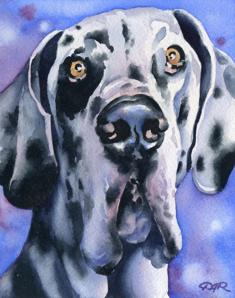 HARLEQUIN GREAT DANE Art Print by Artist D J Rogers image 1