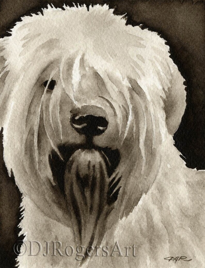 Soft Coated Wheaten Terrier Sepia Art Print by Watercolor Artist DJ Rogers image 1