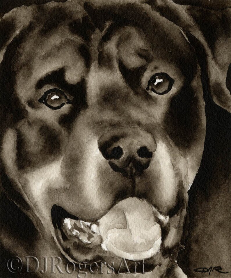 ROTTWEILER Sepia Art Print by Watercolor Artist DJ Rogers image 1