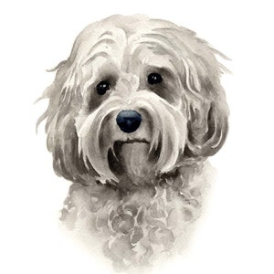 Cockapoo Art Print by Watercolor Artist DJ Rogers