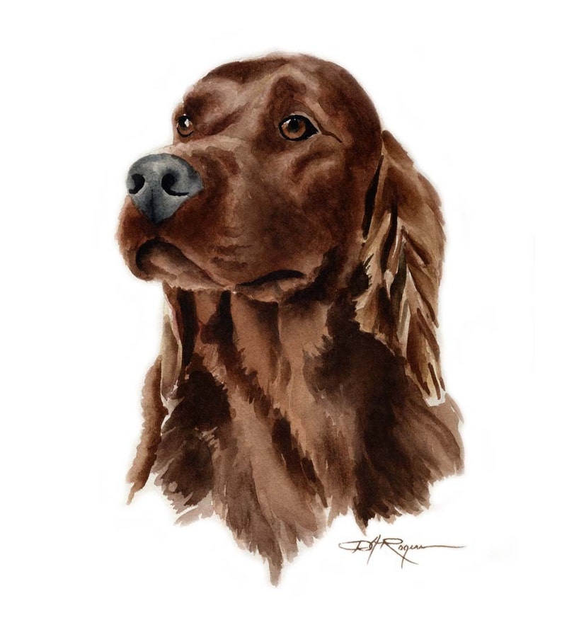 IRISH SETTER Dog Art Print by Artist DJ Rogers image 1