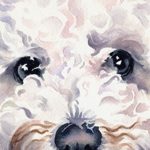 BICHON FRISE Art Print by Watercolor Artist DJ Rogers