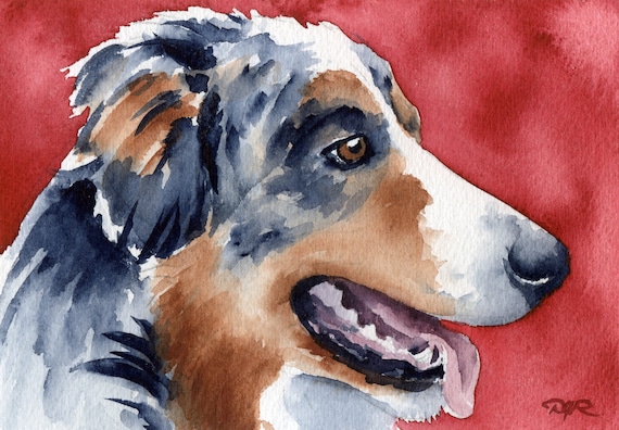 Australian Shepherd Art Print Sepia Watercolor 11 x 14 by Artist DJR