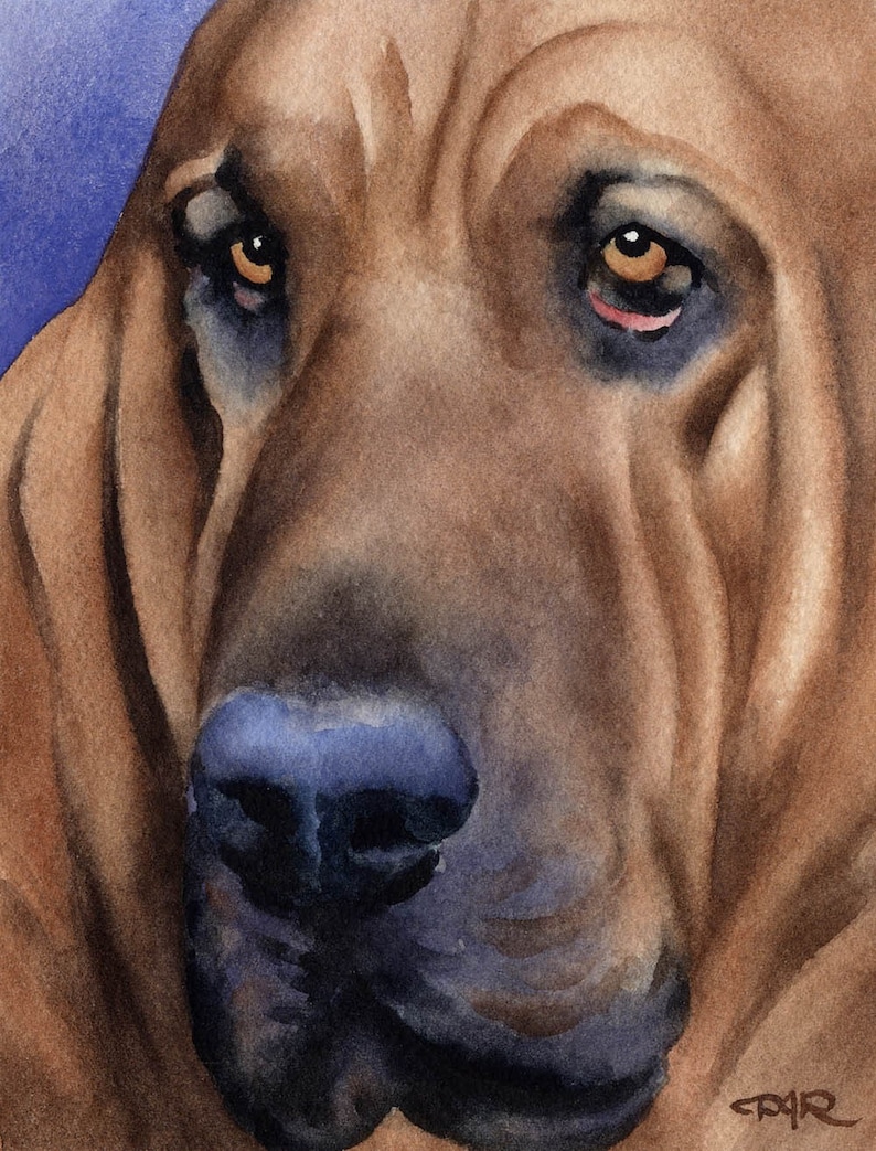 BLOODHOUND Art Print by Watercolor Artist DJ Rogers image 1