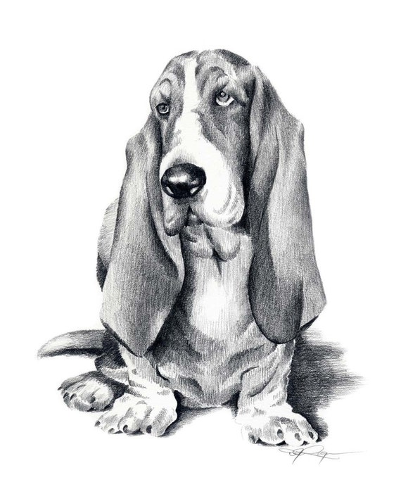 Basset Hound Sketch Stock Vector Royalty Free 690011890  Shutterstock