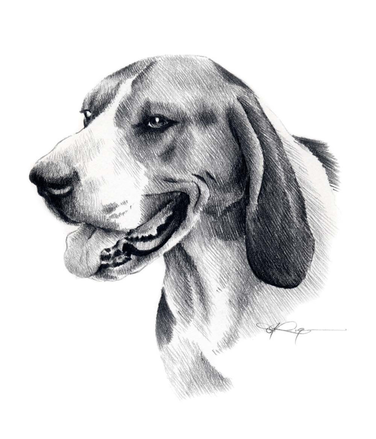 Рисунок собаки графика. Собака рисунок. Собака рисунок карандашом. Картинки собак для срисовки. Рисунок собаки для срисовки.