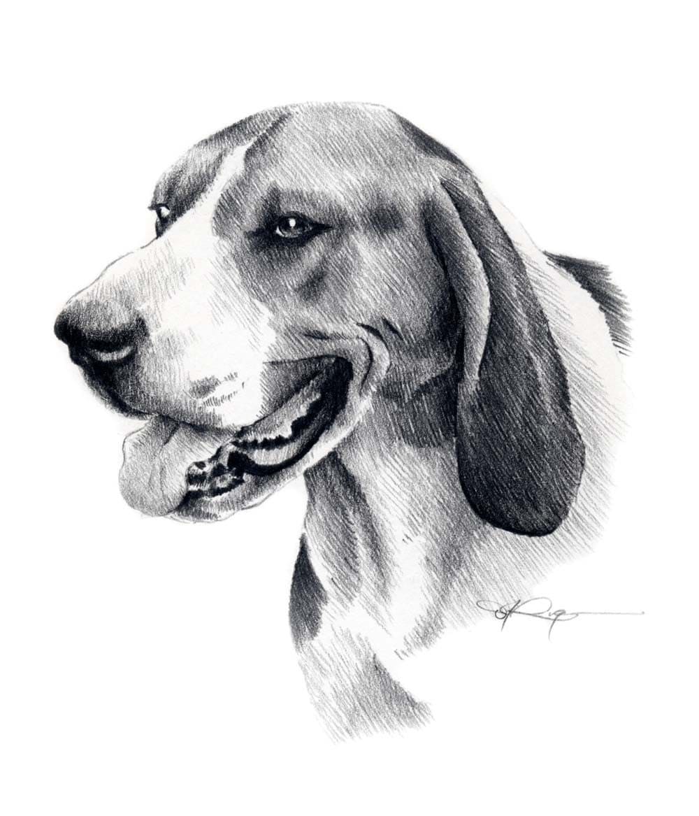 Treeing Walker Coonhound Dog Pencil Drawing Art Print by