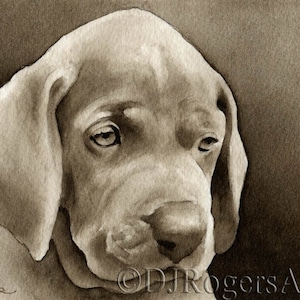 WEIMARANER PUPPY Sepia Art Print by Watercolor Artist DJ Rogers