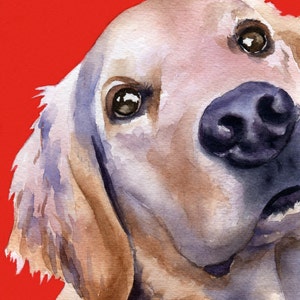 GOLDEN RETRIEVER Art Print by Watercolor Artist DJ Rogers