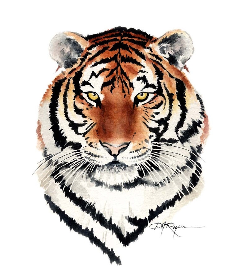 Tiger Watercolor Painting Art Print By Artist Dj Rogers Etsy Australia