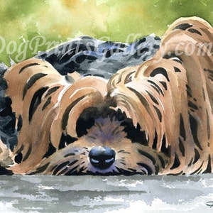 Yorkshire Terrier Art Print by Watercolor Artist DJ Rogers